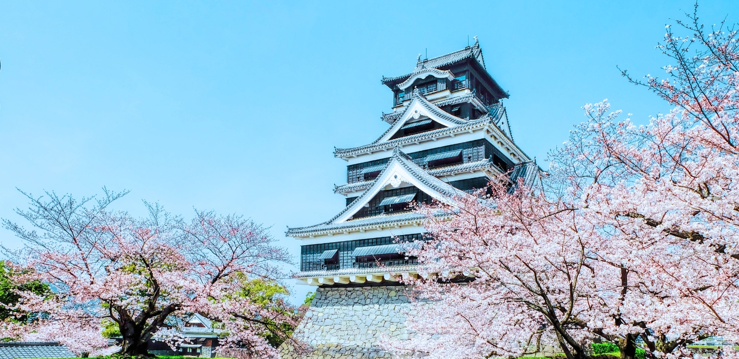 ともに歩む、安心のパートナー